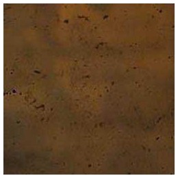 PANEL HORMIGON OXIDO