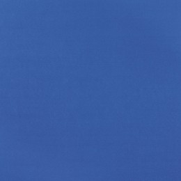 BERRY MOQUETA FLASH AZUL...