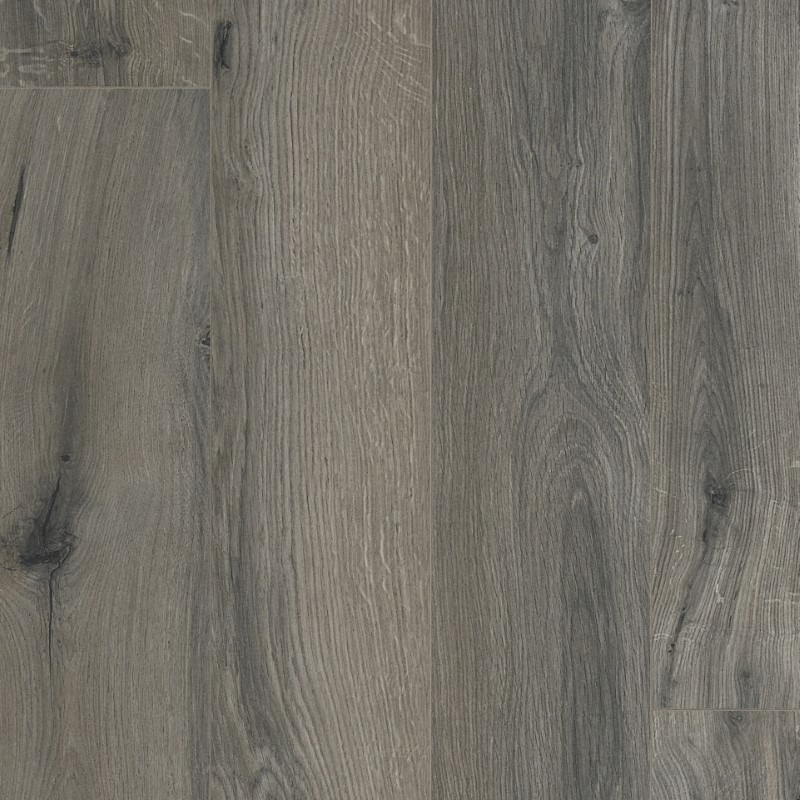 OCEAN 8 V4 GYANT GRIS