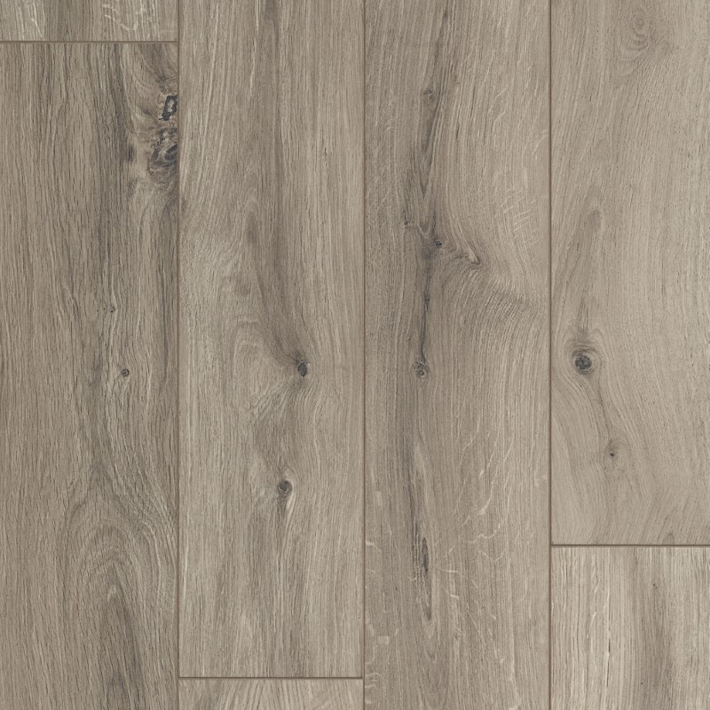 OCEAN 8 V4 GYANT MARRÓN