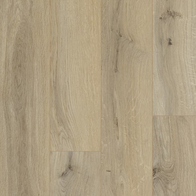 OCEAN 8 V4 GYANT NATURAL CLARO