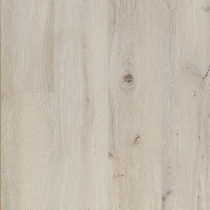 OCEAN 12 XL GYANT CLARO