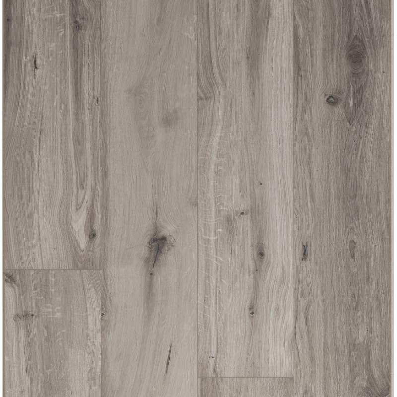 OCEAN 12 XL GYANT GRIS CLARO