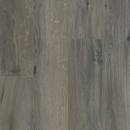 OCEAN 12 V4 GYANT GRIS