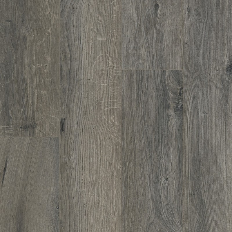 OCEAN 12 V4 GYANT GRIS