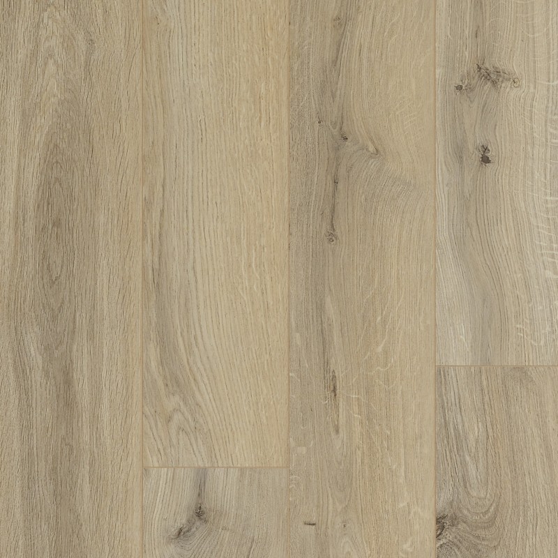 OCEAN 12 V4 GYANT NATURAL CLARO