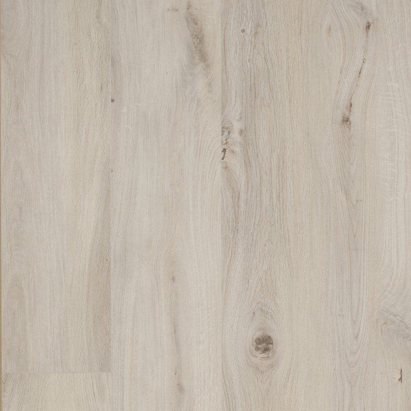 OCEAN 8 XL GYANT CLARO