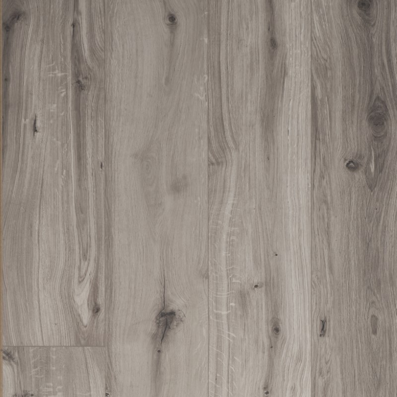 OCEAN 8 XL GYANT GRIS CLARO