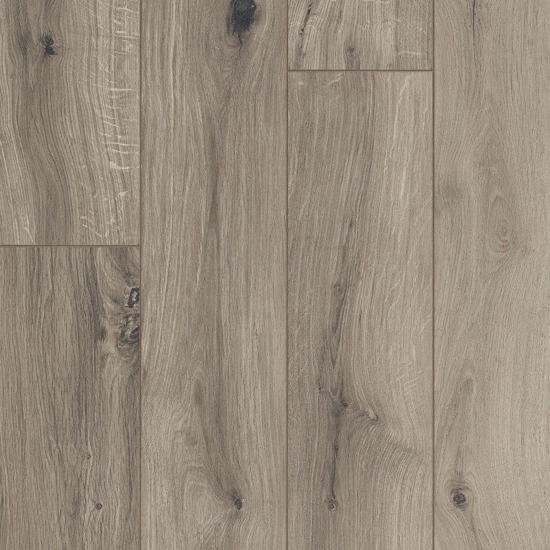 OCEAN 12 V4 GYANT MARRÓN